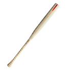 Warstic Bonesaber Composite Fastpitch Softball Bat (-10)